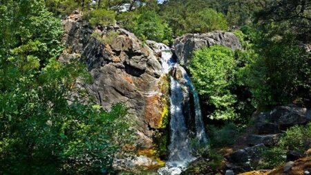 Kazdağları Turu - Ayvalık ve Dikili Çıkışlı. Günübirlik Tur