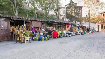 Gölyazı Tirilye Mudanya Cumalıkızık Turu gunubirlik golyazi trilye mudanya cumalikizik turu 03